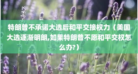 特朗普不承诺大选后和平交接权力（美国大选逐渐明朗,茹果特朗普不愿和平交权怎么办?）