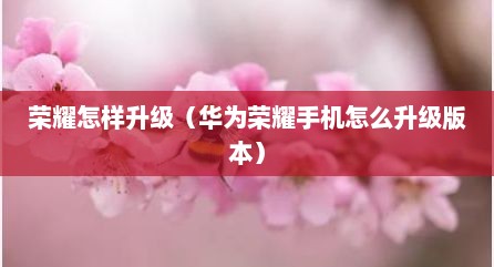 荣耀怎样升级（华为荣耀手机怎么升级版本）