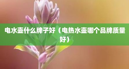 电水壶什么牌子好（电热水壶哪个品牌质量好）