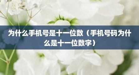 为什么手机号是十一位数（手机号码为什么是十一位数字）