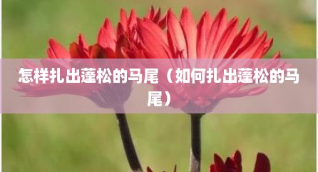 怎样扎出蓬松的马尾（如何扎出蓬松的马尾）