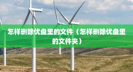 怎样删除优盘里的文件（怎样删除优盘里的文件夹）