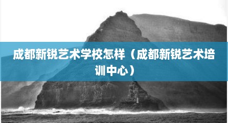 成都新锐艺术学校怎样（成都新锐艺术培训中心）