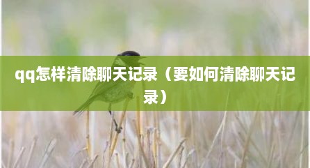 qq怎样清除聊天记录（要如何清除聊天记录）