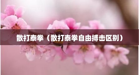 散打泰拳（散打泰拳自由搏击区别）