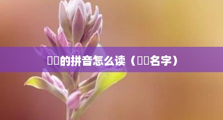 湜祎的拼音怎么读（湜祎名字）
