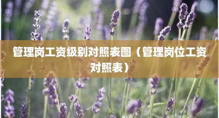 管理岗工资级别对照表图（管理岗位工资对照表）
