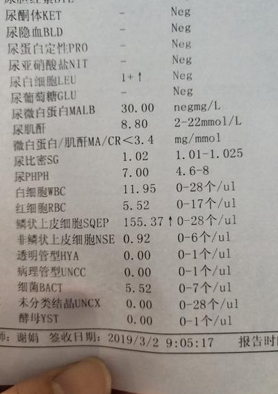 386是什么意思（白细胞386是什么意思）