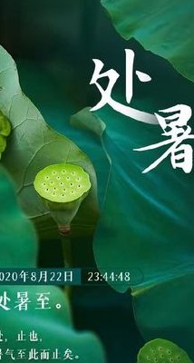 处暑拼音（处暑拼音怎么读）
