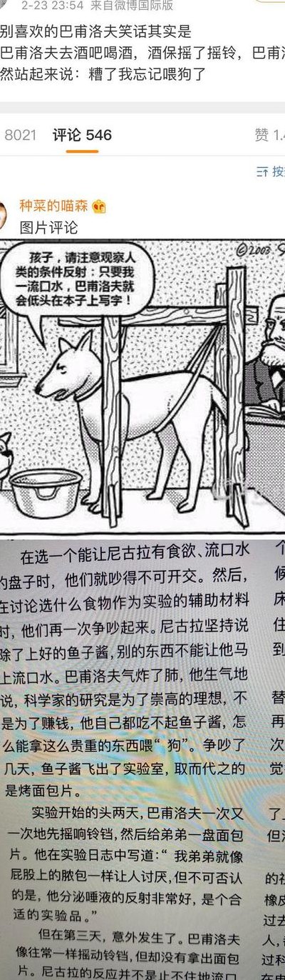 巴甫洛夫（巴甫洛夫的狗是啥理论）