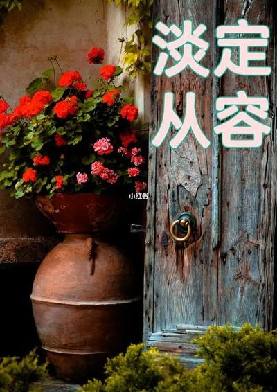 淡定的意思（从容淡定的意思）