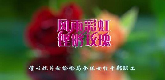 风雨彩虹铿锵玫瑰(铁血玫瑰：风雨彩虹中的不屈之魂)