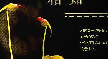 未必之恋(不期之恋：相遇何必相知)