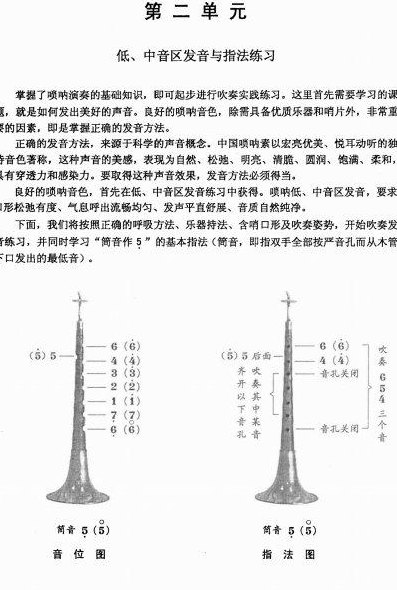 唢呐教程(学唢呐：详解唢呐演奏技巧与基础知识)