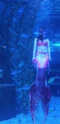 地下道的美人鱼(地下城市中的水族馆美人鱼奇观)