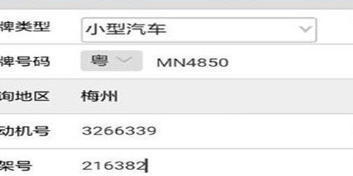 金华市车辆违章查询(金华车辆违章查询，一键了解交通违规情况)