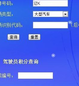 大连市交通违章查询(大连交通违章查询，轻松查罚款！)