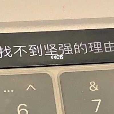 找不到坚强的理由(寻找坚强的理由)