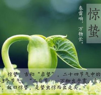惊蛰传说（惊蛰传说50字）