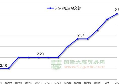 山东金乡大蒜最新价格（山东金乡大蒜最新价格行情今日新闻）