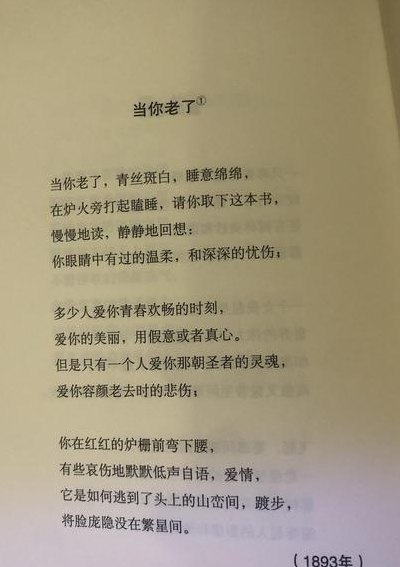 叶芝当你老了(当你老了——叶芝经典诗歌的新题目)