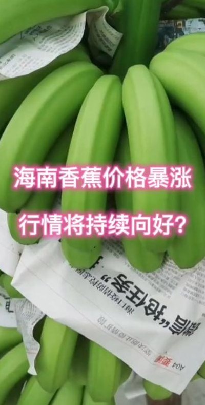 海南香蕉网（海南香蕉行情走势最新）