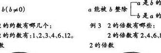 约数(一个数的约数有哪些？)