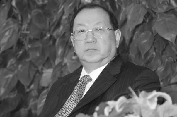 关于金人庆简历的信息