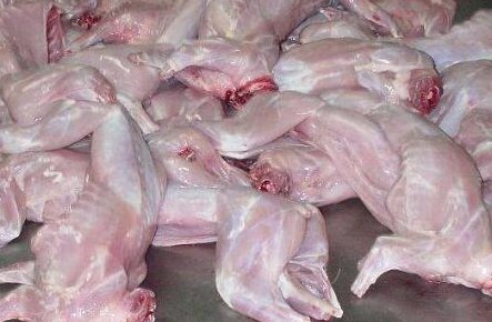 兔肉价格（兔肉价格最新行情）