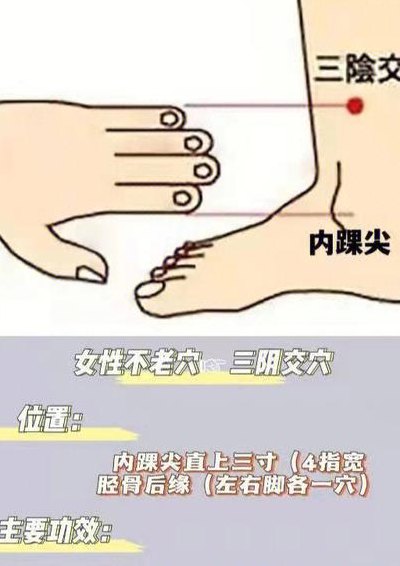 三阴交穴位图（每天按三阴的神奇功效）