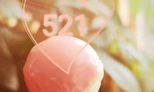 520和521哪个寓意更好（520和521哪个更有意义）