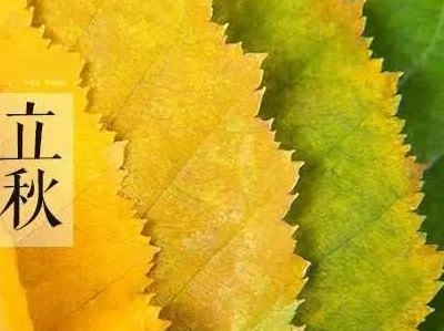 几点立秋(立秋已至，开启秋季新模式)