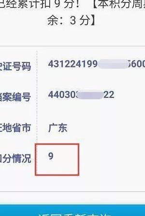 河南驾驶证查询(河南驾照查询：方法详解，快速获取有效结果)