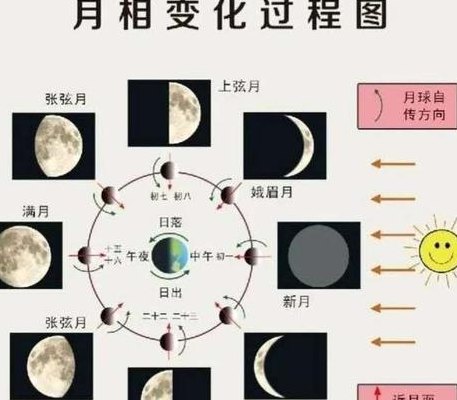 月球一年多少天（月球一年的变化）