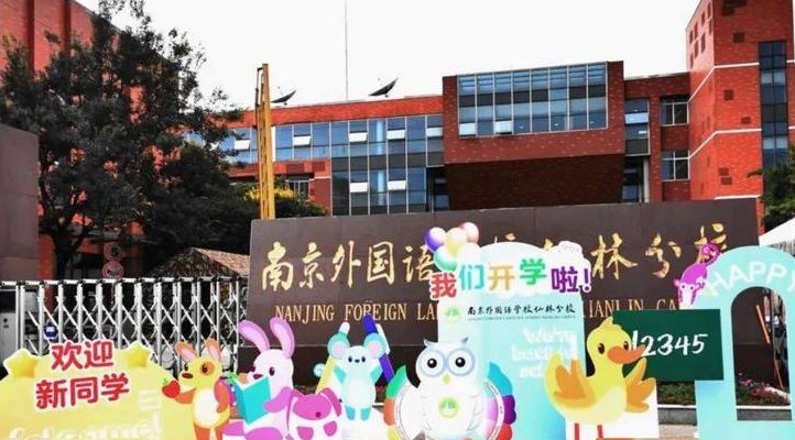 仙林外国语小学(仙林外国语小学的教育理念和实践)