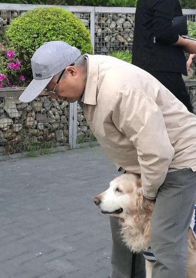 狗奴(狗奴的经历：从失落到拾起信念的故事)