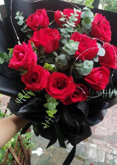 11朵红玫瑰花语(11朵红玫瑰的含义与传达方式)