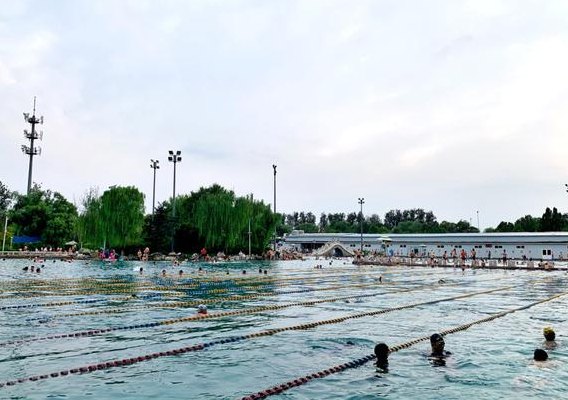 柳浪游泳场(柳浪游泳场：畅游夏日清凉去处)