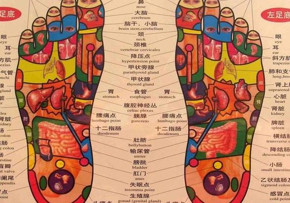 足底反射区图（足底反射区图片）