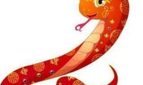 天花乱坠打一个生肖（天花乱坠打一个生肖龙马）