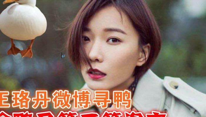 王珞丹寻鸭（王珞丹丢的是什么鸭子）