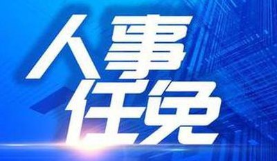 市政府副秘书长(市政府任命新的副秘书长)