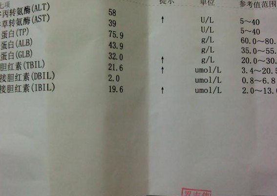 孕妇肝功能指标（孕妇肝功能指标偏低）