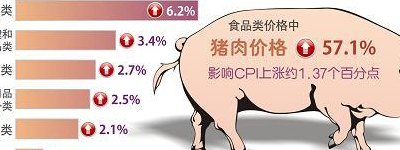 统计局回应猪肉价格上涨（统计局回应猪肉价格上涨 新闻）