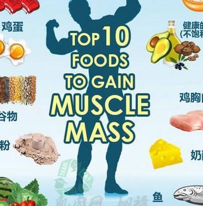 吃什么能增长肌肉（吃什么能增长肌肉减少脂肪）