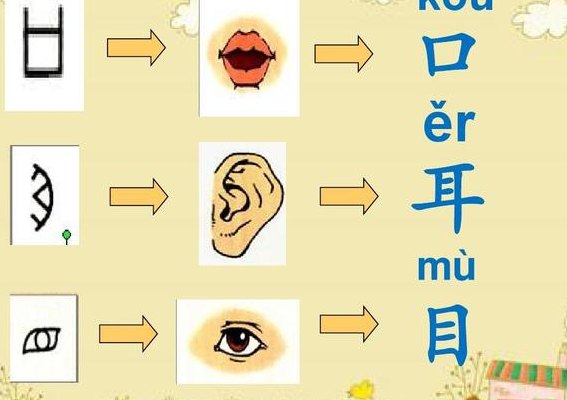 目加一笔是什么字（口耳目的目加一笔是什么字）