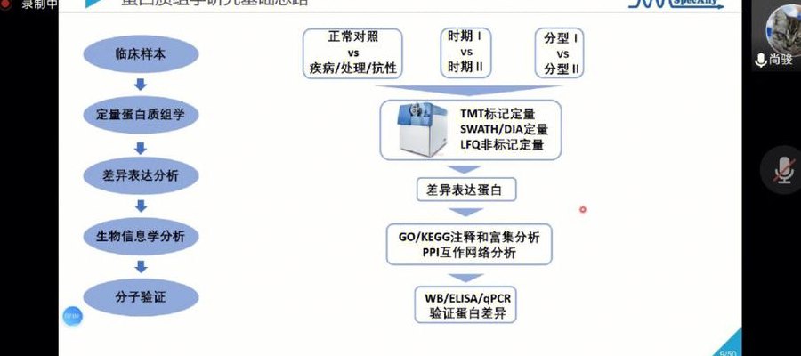 蛋白组学分析（蛋白组学分析流程）