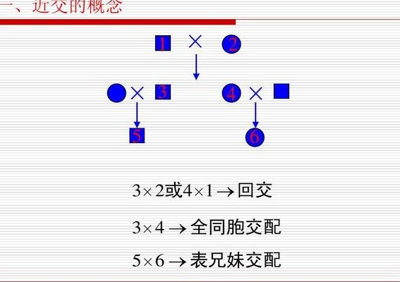 近亲交尾的简单介绍