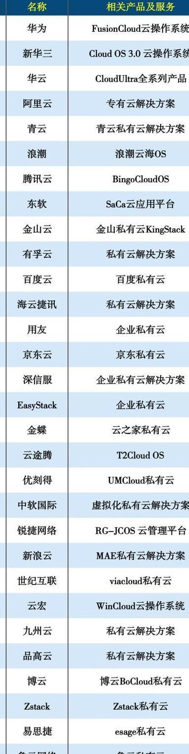 云平台公司（云平台公司排行榜）