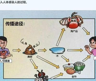 粪口传播什么意思（粪口传播是啥）